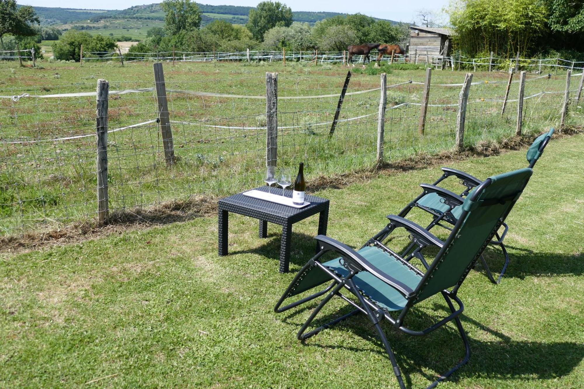 Les Grands Crus - Gite "Meursault" Corpeau Exterior foto